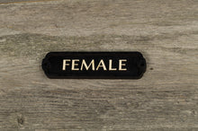 Load image into Gallery viewer, Female Restroom Door Sign